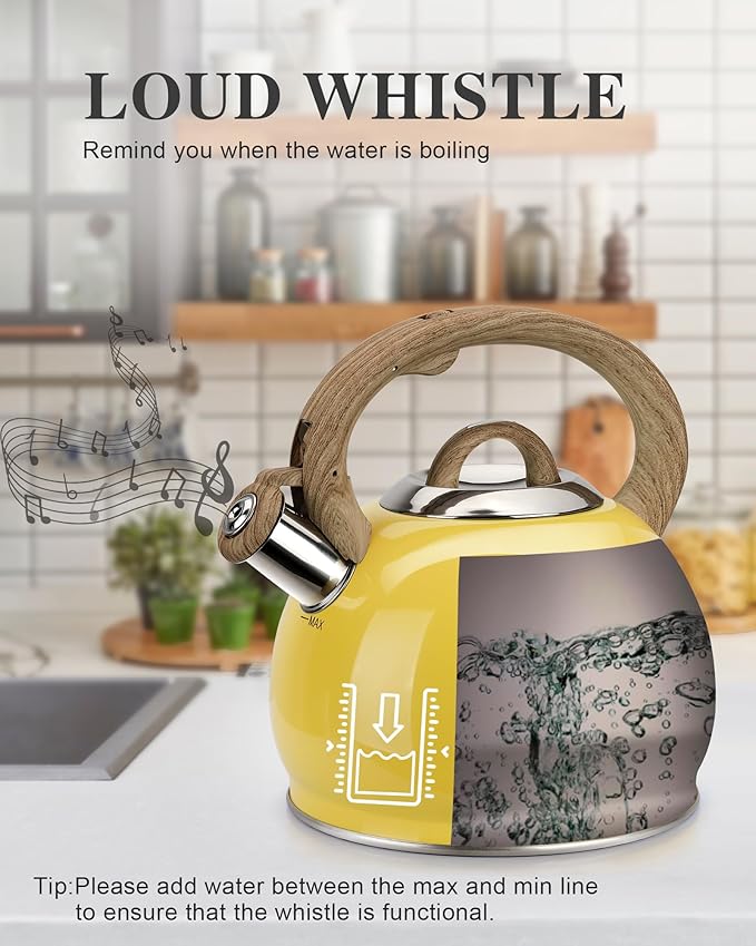 Tea Kettle for Stovetop, 2.7 Quart Loud Whistle Stovetop Teapots,Food Grade Stainless Steel Tea kettles for Stove Top with Anti-hot Ergonomic Handle