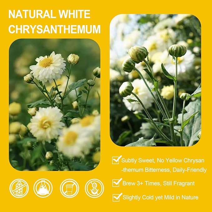 Chrysanthemum Tea, Chrysanthemum Tea Bags, 20×3.5g, 菊花茶, Chinese Herbal Tea, Dried Flower Buds, Light Floral Taste, Sugar-free, Caffeine-Free | Reduce Internal Heat | Relax Mood | Bright Eyes | Smooth Skin | Great for Relaxing Moments