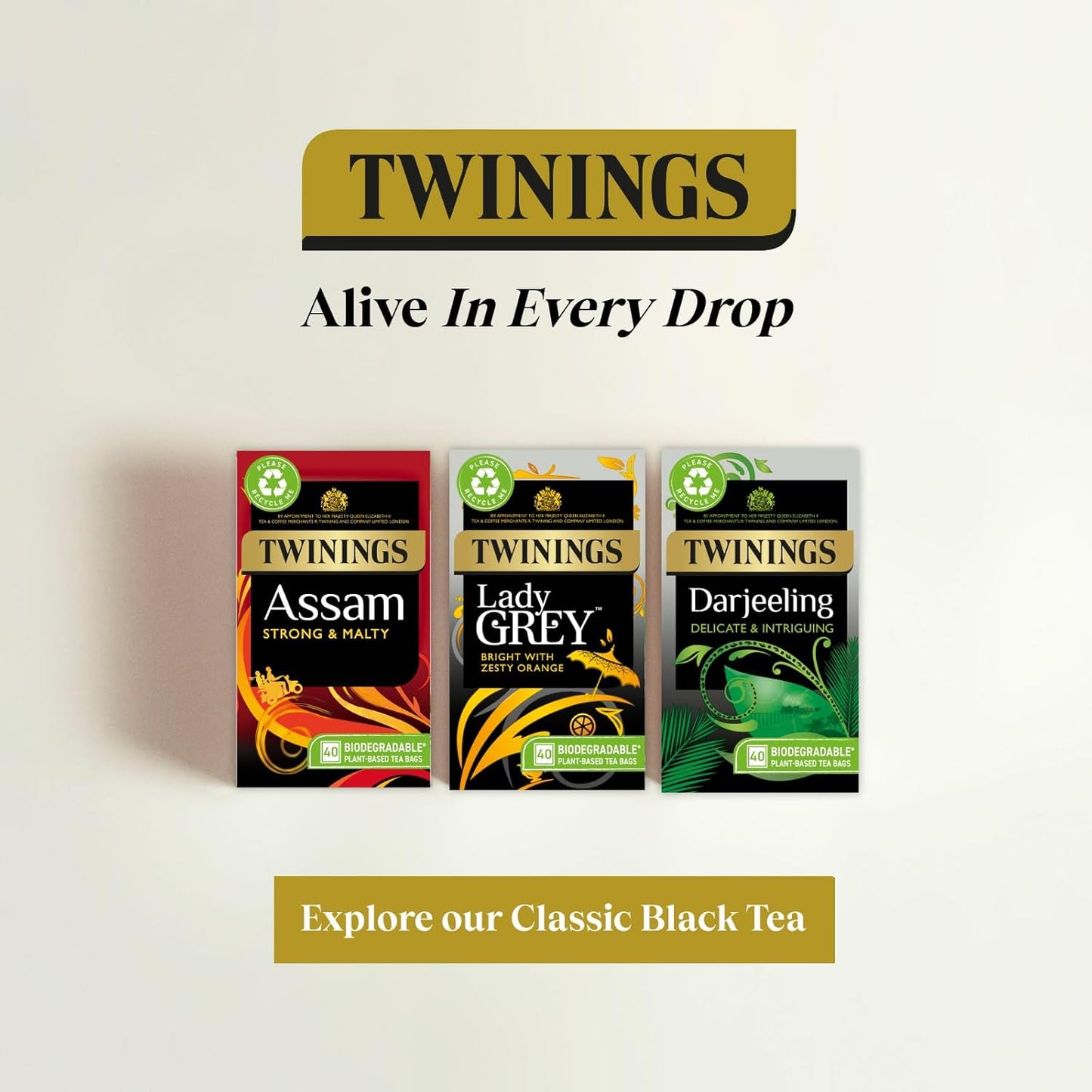 Twinings Lady Grey Tea | Bright & Refreshing Black Tea with Zesty Orange | 40 Biodegradable Tea Bags