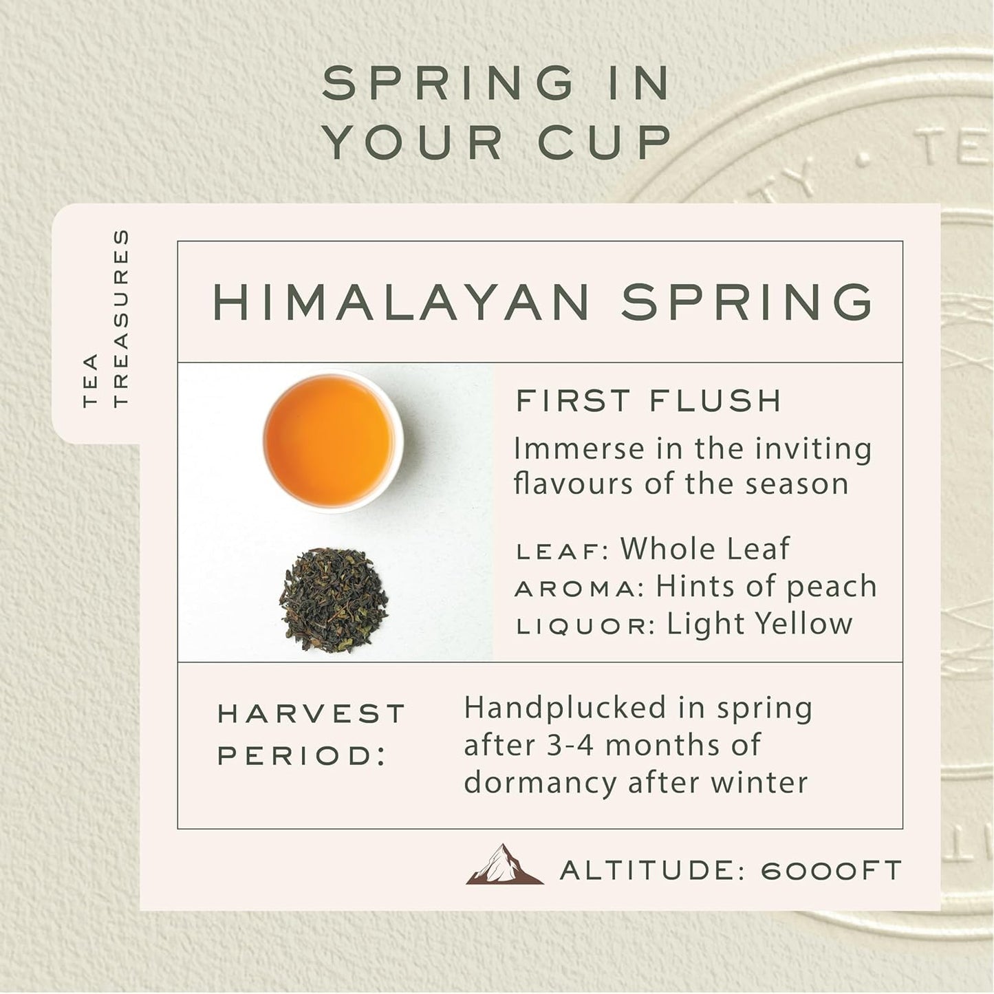 Makaibari Himalayan Spring Darjeeling Black Tea 50 cups (100g/3.5oz)| Single Estate Loose Leaf Tea