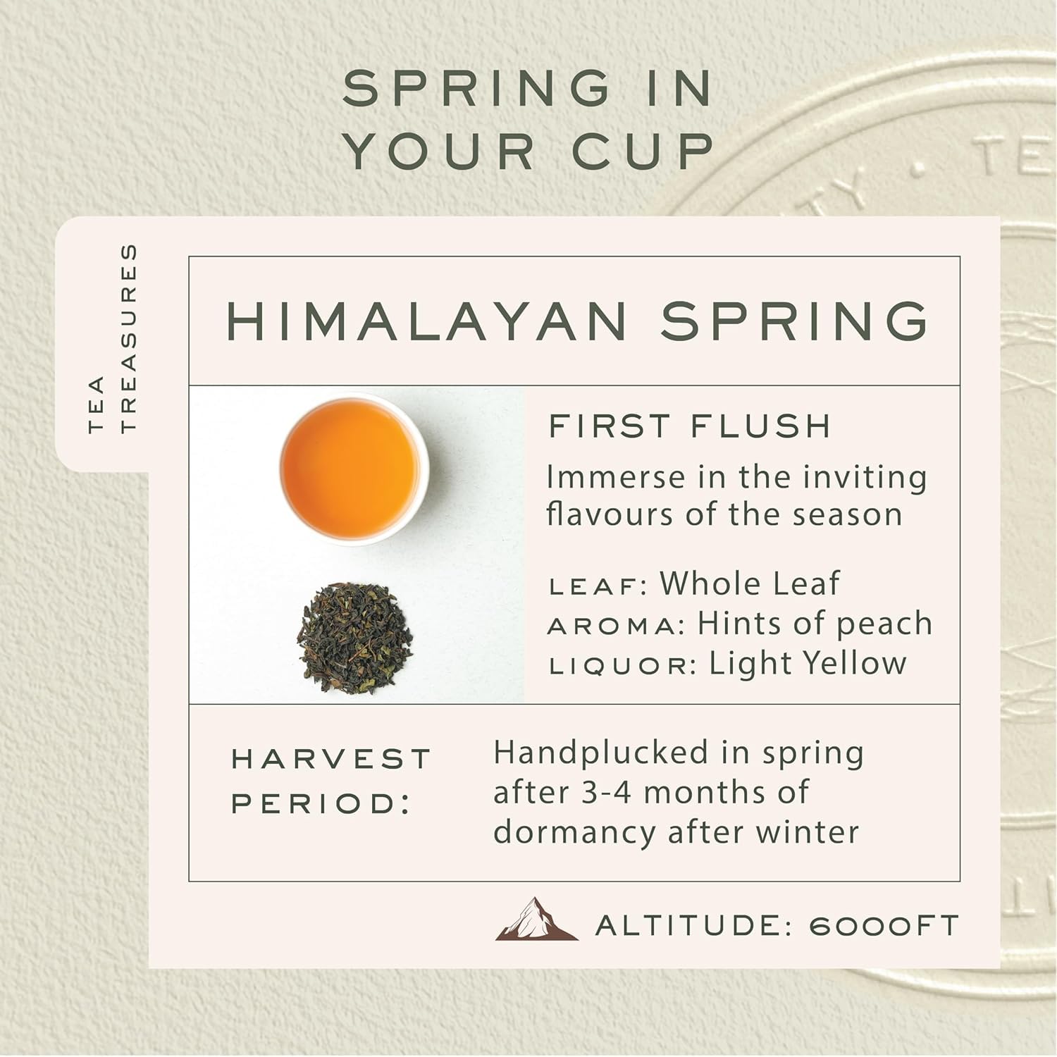 Makaibari Himalayan Spring Darjeeling Black Tea 50 cups (100g/3.5oz)| Single Estate Loose Leaf Tea