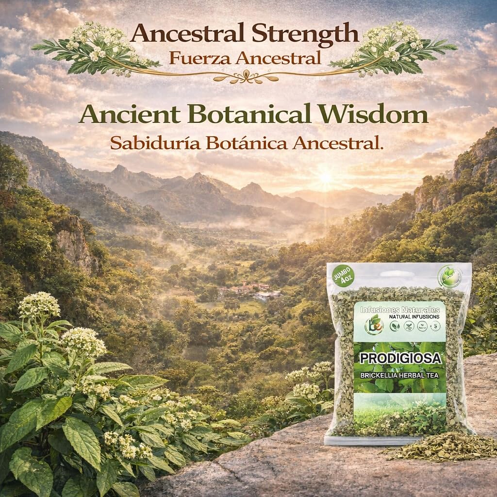 B-Experts Prodigiosa Herbal Tea – 4 oz (113g) – 100% Natural Mexican Herb – Wildcrafted Brickellia – Vegan, Non-GMO – Loose