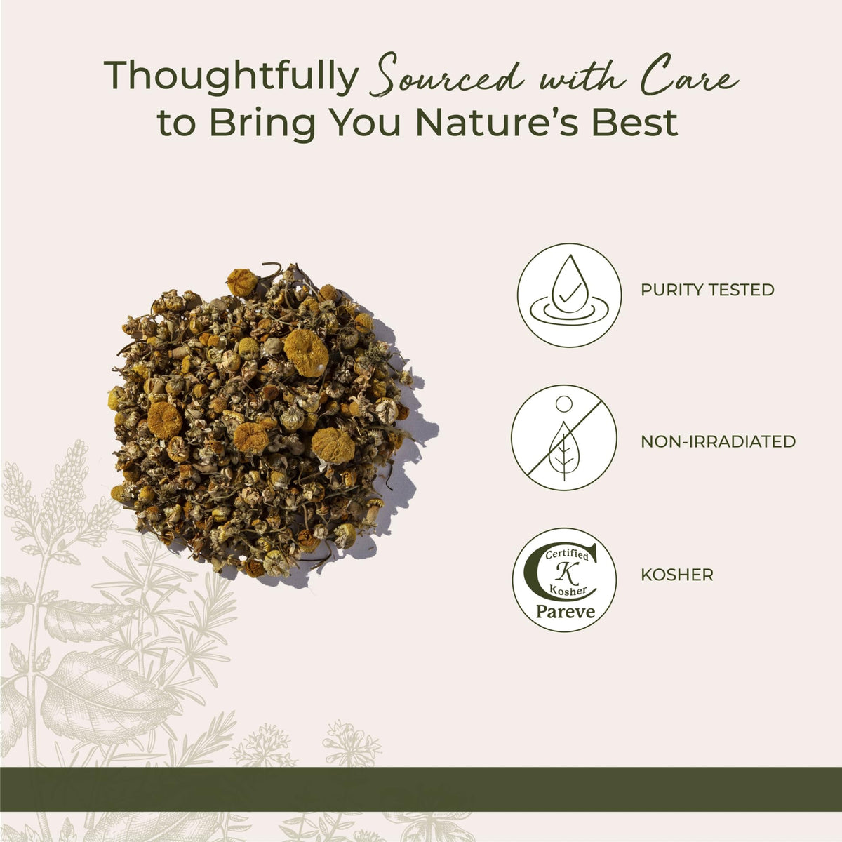 Starwest Botanicals Organic Chamomile Flowers Whole - Bulk 1 lb Bag