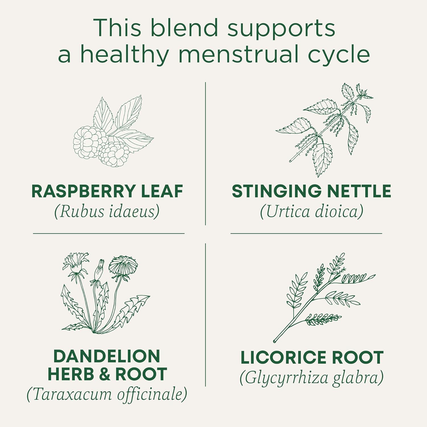 Traditional Medicinals Tea, Organic Healthy Cycle, Supports Healthy Menstrual Cycles, Includes Spearmint,16 Tea Bags