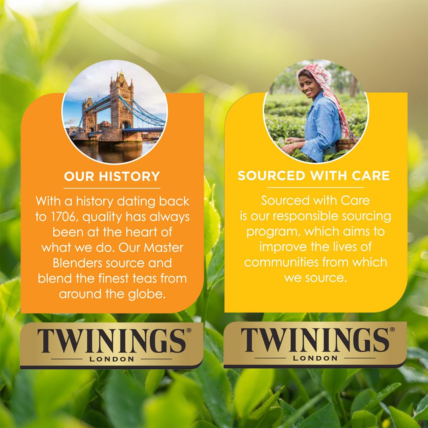 Twinings Bedtime Tea Variety 2-Pack Pure Camomile Teabags and Superblends, Cinnamon & Vanilla + Melatonin Tea, Naturally Caffeine-Free