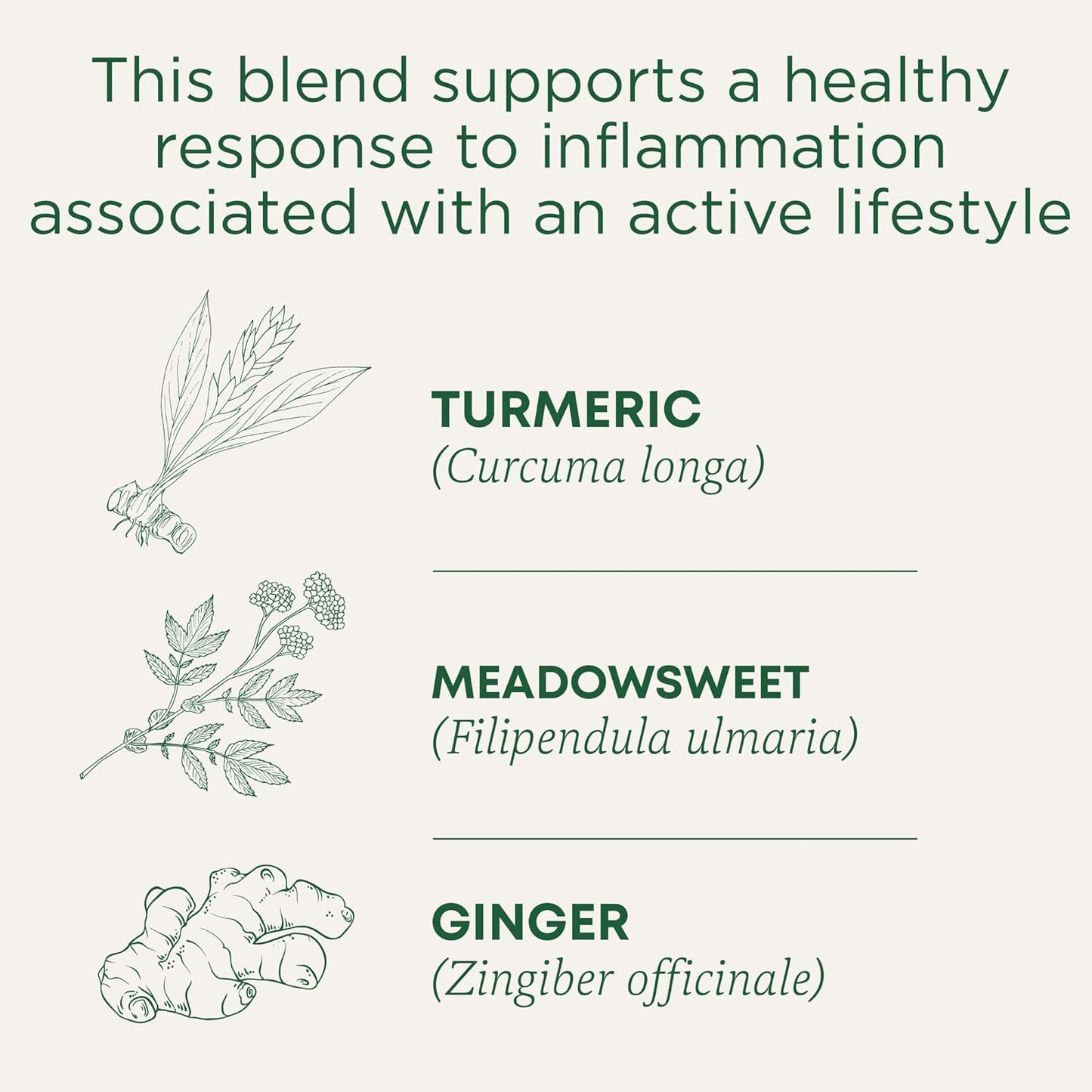 Traditional Medicinals Tea Turmeric Meadowsweet & ginger,16 count.