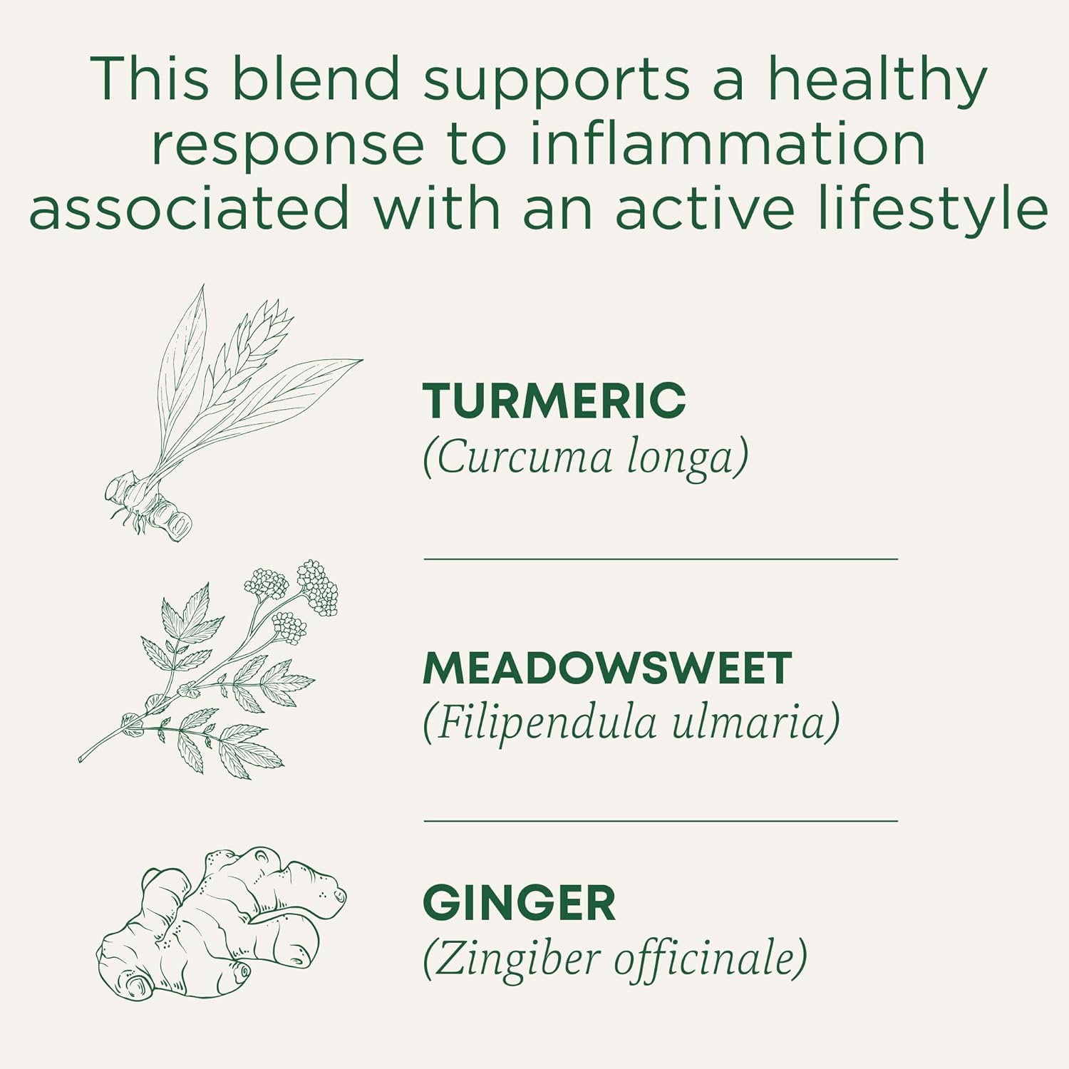 Traditional Medicinals Tea Turmeric Meadowsweet & ginger,16 count.