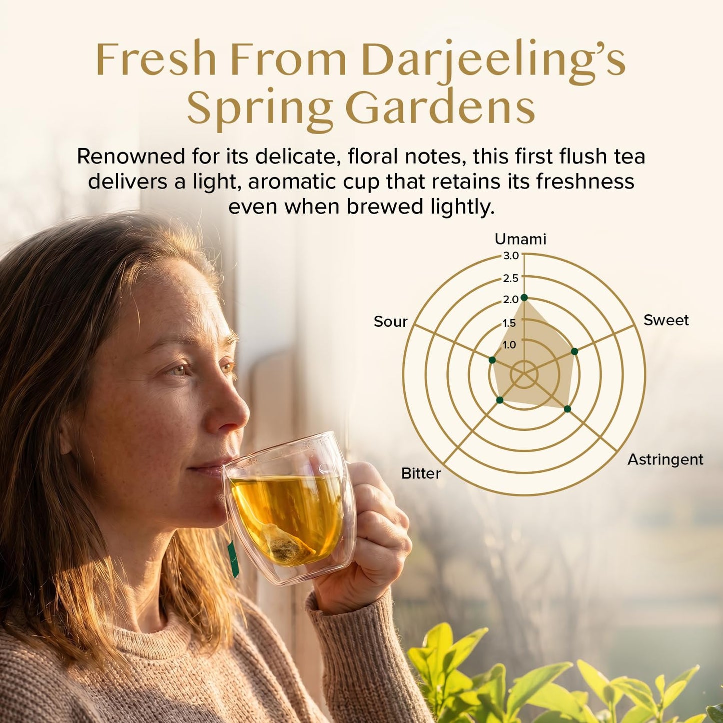 VAHDAM Darjeeling Spring Tea Bags (100 Count) Exotic First Flush Black Tea