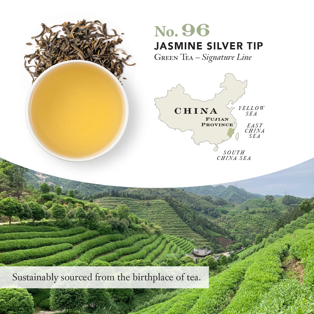 Steven Smith Teamaker, Jasmine Silver Tip, Green Tea, 15 Sachets 1.3oz each | Full Leaf Green Tea, Caffeinated, Sugar Free, Sustainably Grown, Plant Based Sachets, Microplastic-Free