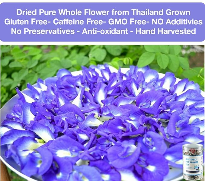 50 Dried Blue Butterfly Pea Flower Tea Bags, Thai Herbal Tea, Blue Purple Pea Tea, Caffeine-Free, Gluten-Free, Non-GMO, Ideal for Cooking, Iced Tea