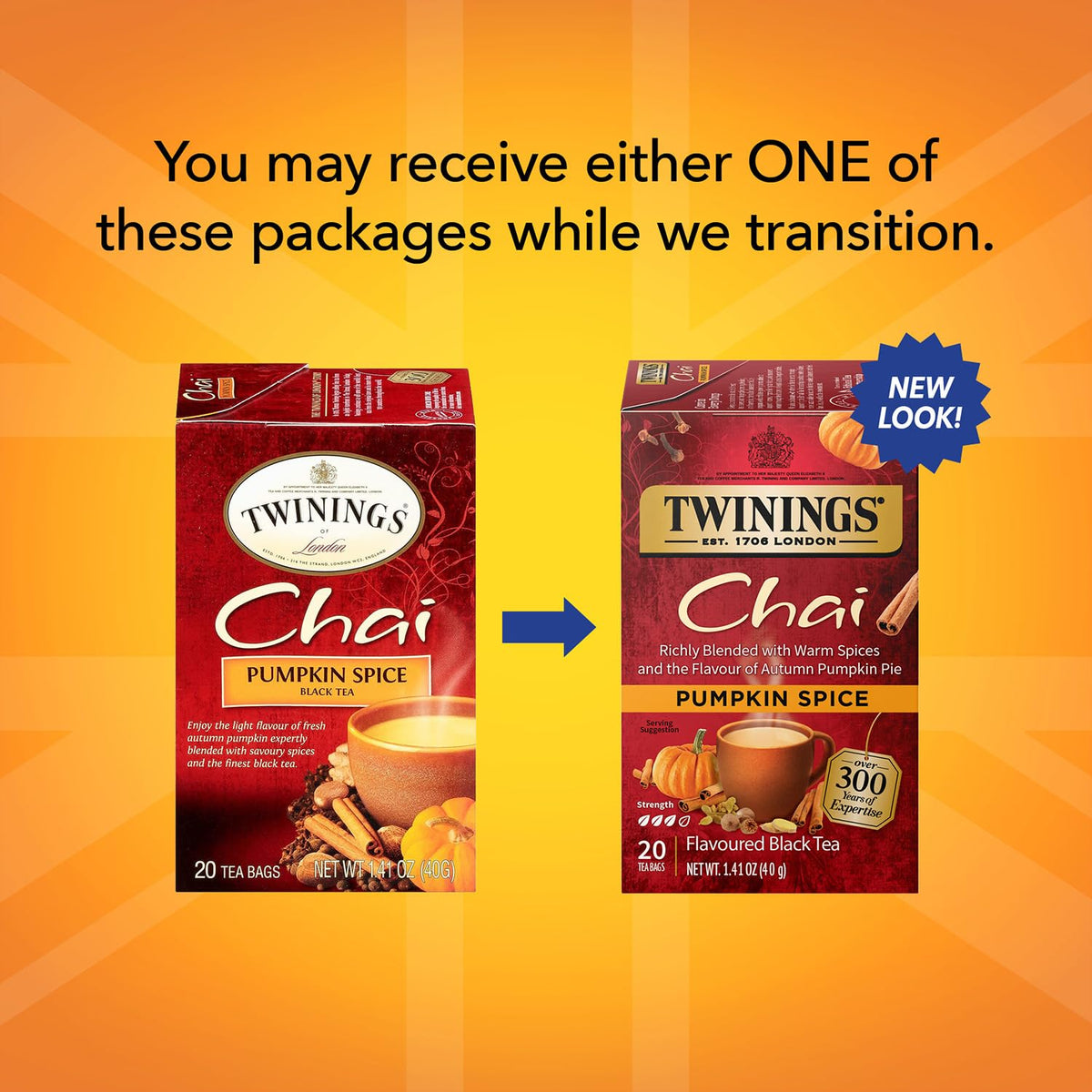 Twinings Pumpkin Spice Chai Black Tea 2-Pack, 20 Count Ea