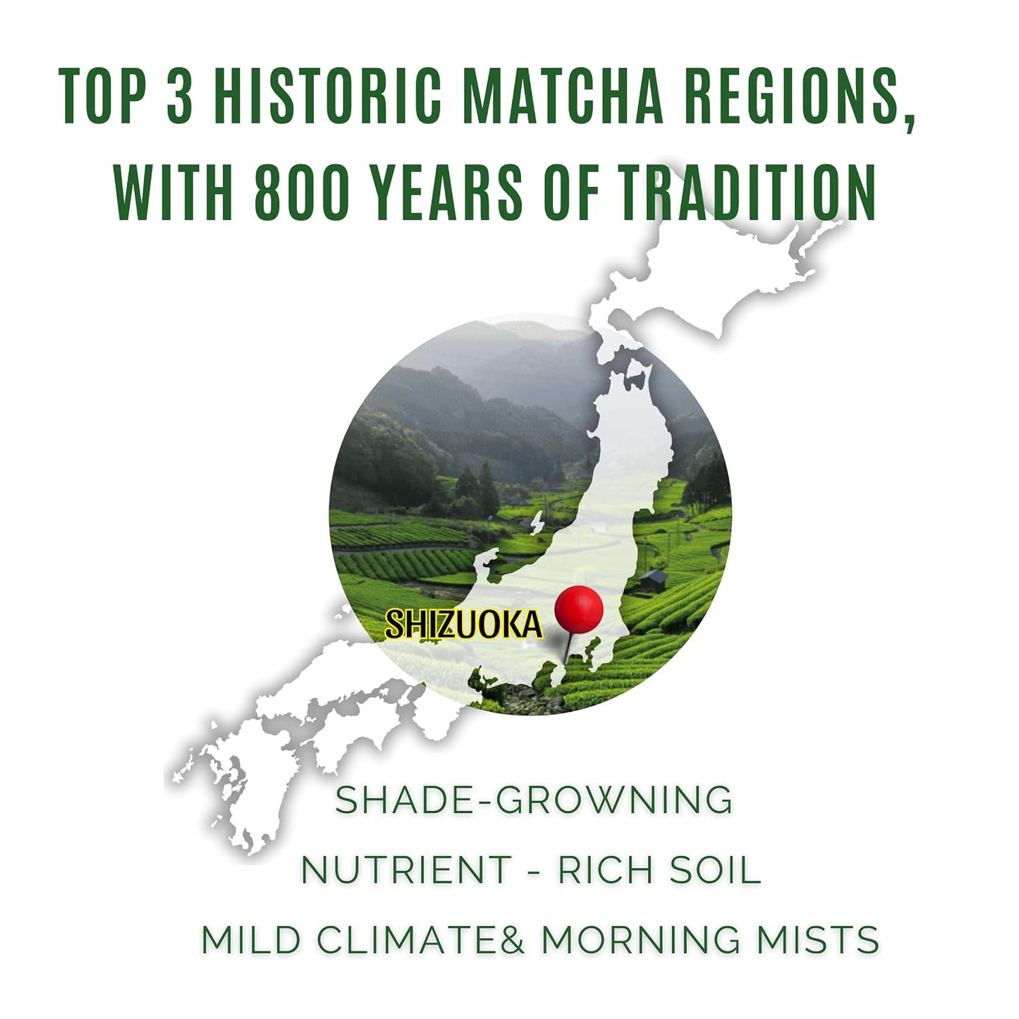 Satoen Authentic Japanese Ceremonial Grade Matcha Powder - Ceremonial Matcha Green Tea Powder from 100% Spring Premium First Harvest - Crafted for Matcha Straight Tea (100g) | 3.5 oz, Lattes, Smoothies, Baking, First Harvest, Stone Ground, Vibrant Green C