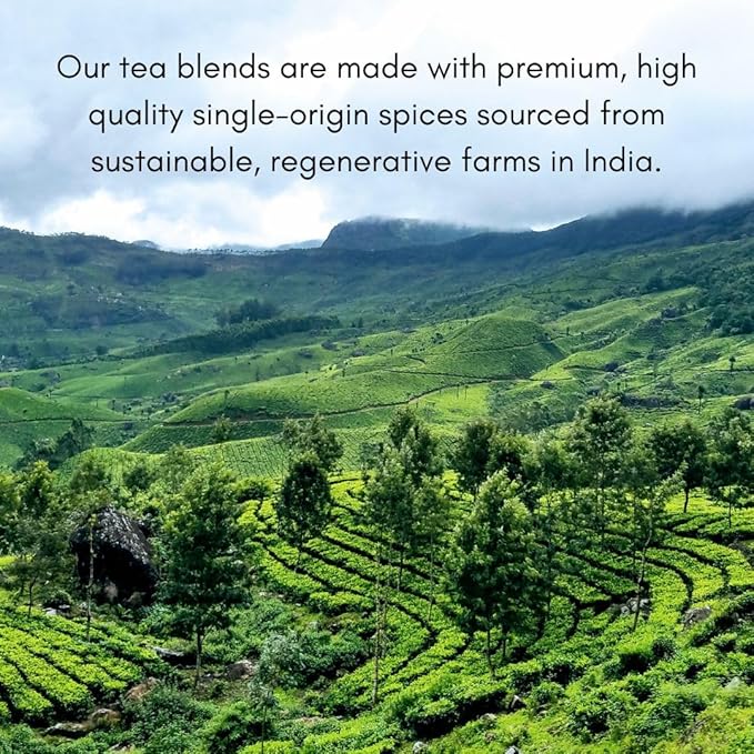 The Chai Box Top Selling Loose Leaf Tea Gift Set - Featured in Oprah's Favorite Things | 3-Flavor Caffeinated Chai Tea Gift Box with Stainless Steel Steeper (3 Pack) | Small Batch Loose Leaf Tea with Whole, Premium Spices