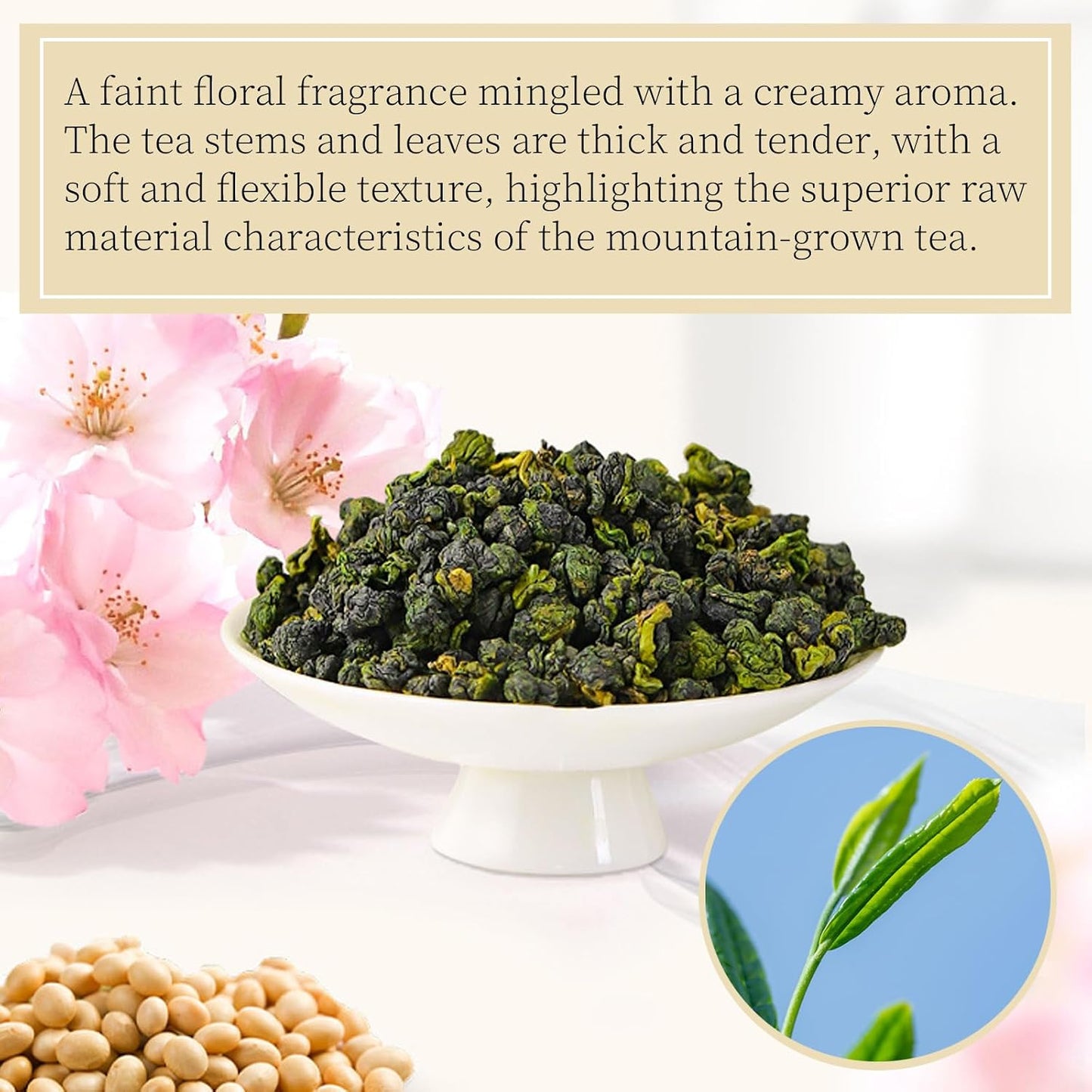 Lingyunxi Milk Oolong Tea Loose Leaf Taiwan Tea Jin Xuan Oolong Taiwan Formosa High Mountain Oolong Leaves, Creamy Sweet and Smooth Taste 25% Fermentation Degree 奶香乌龙 台湾高山茶 台湾茶 乌龙茶 5.3oz/150g