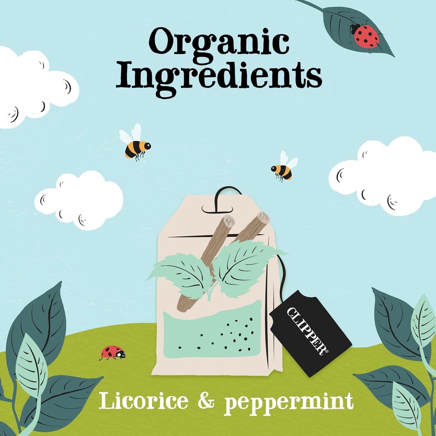 Clipper Organic Licorice &amp; Peppermint Tea, 4 pack / 200 Tea Bags | Naturally caffeine free herbal tea in unbleached tea bags, USDA Organic, Non-GMO approved
