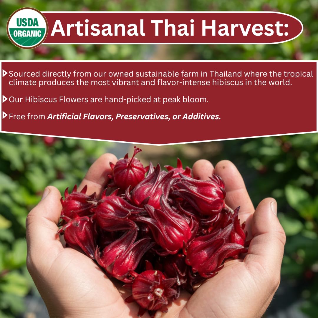 Organic Hibiscus Tea Bags 40 Count | Rare Variety Thai Red Purple Hibiscus Loose Flowers in Unbleached Sachets | Small Lot Eco-Farmed
