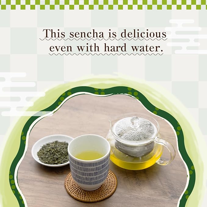BJDesign "HAJIME" Organic JAS Certified Japanese Sencha Green Tea, 80g Loose Leaf