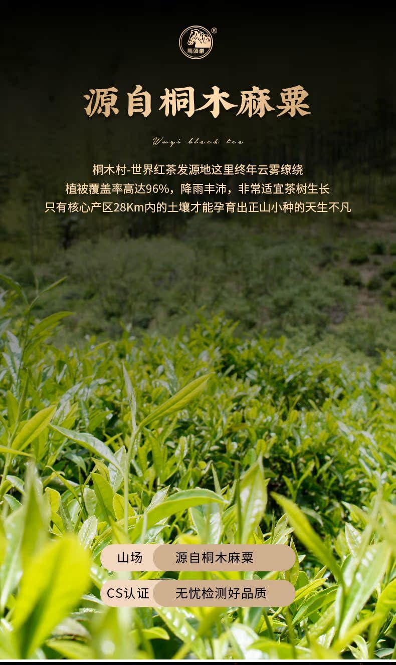Premium Wuyi Mountain Tongmu Lapsang Souchong Black Tea Loose Leaf Floral Aroma 400g (200g x 2)