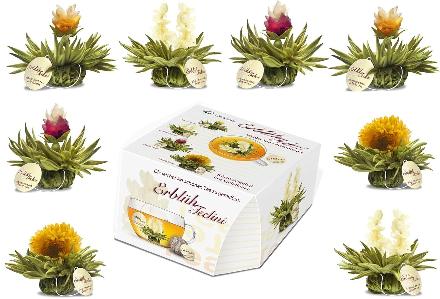 Creano Tea Flowers in Cup Size - Blooming Tea - 8 Flowering Tea in 4 Different Varieties - White Tea