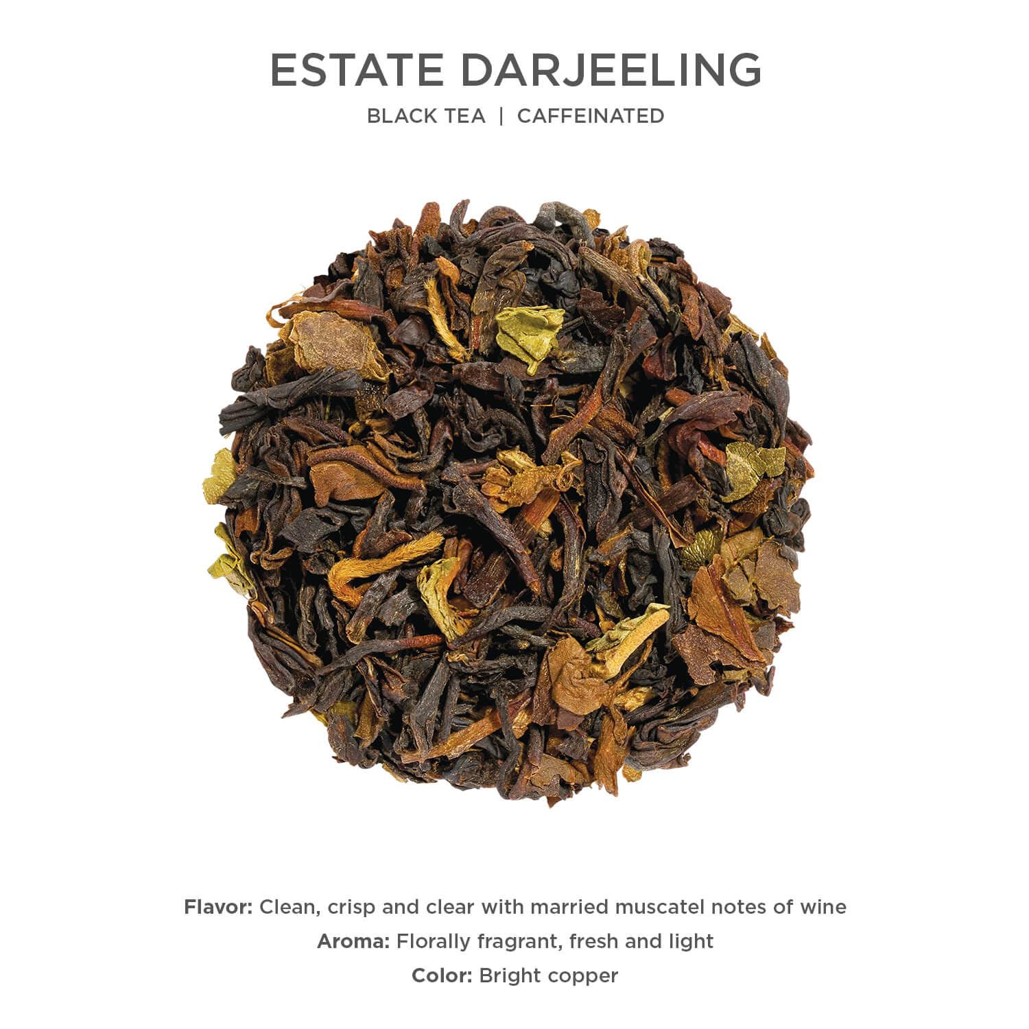 Tea Forte Estate Darjeeling Premium Caffeinated Black Tea Blend Event Box, Bulk Pack 40 Count, 10 per tray Individually Wrapped Handcrafted Pyramid Infusers