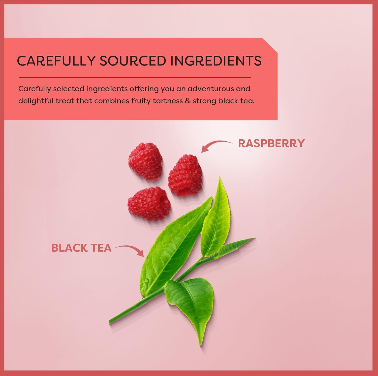 Wissotzky Raspberry Boost Black Tea, 20 Tea Bags | Bold Berry Tea | Antioxidant Rich | Fruity Black Tea Bags