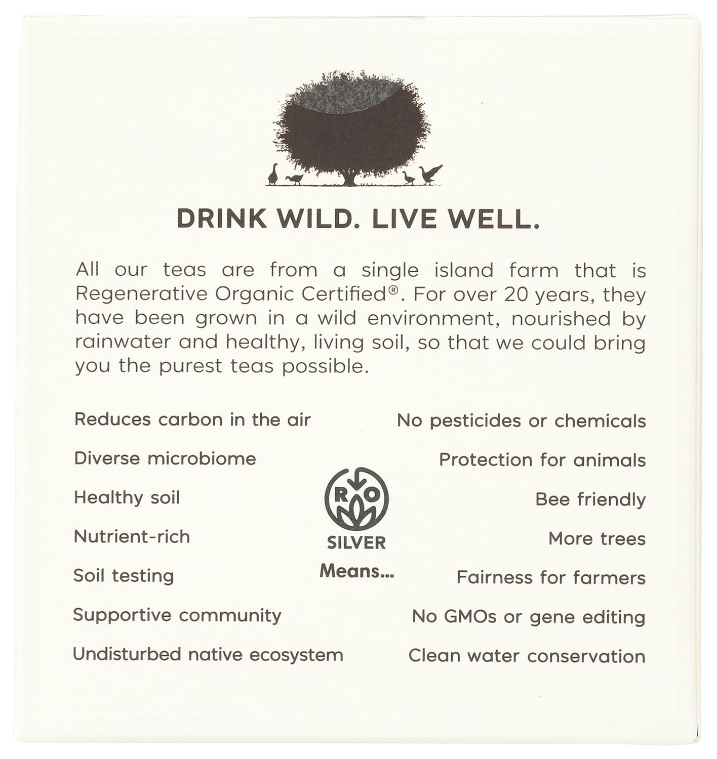 Wild Orchard, Tea Everyday Black Organic, 12 Count