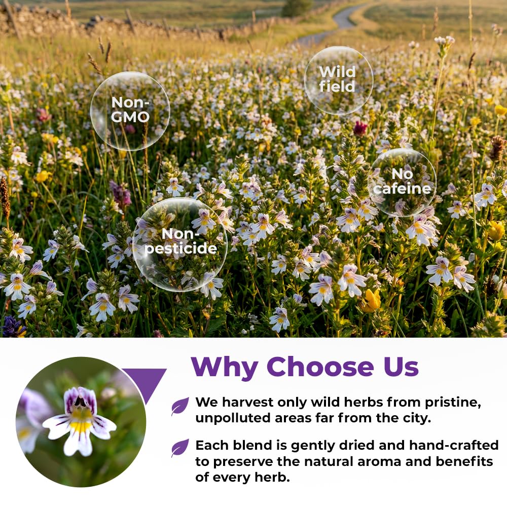 1.8 oz. Eyebright Herb Herbal Tea (Euphrasia Officinalis) - Dried Eyebright Herb Tea Hierba De Miramel