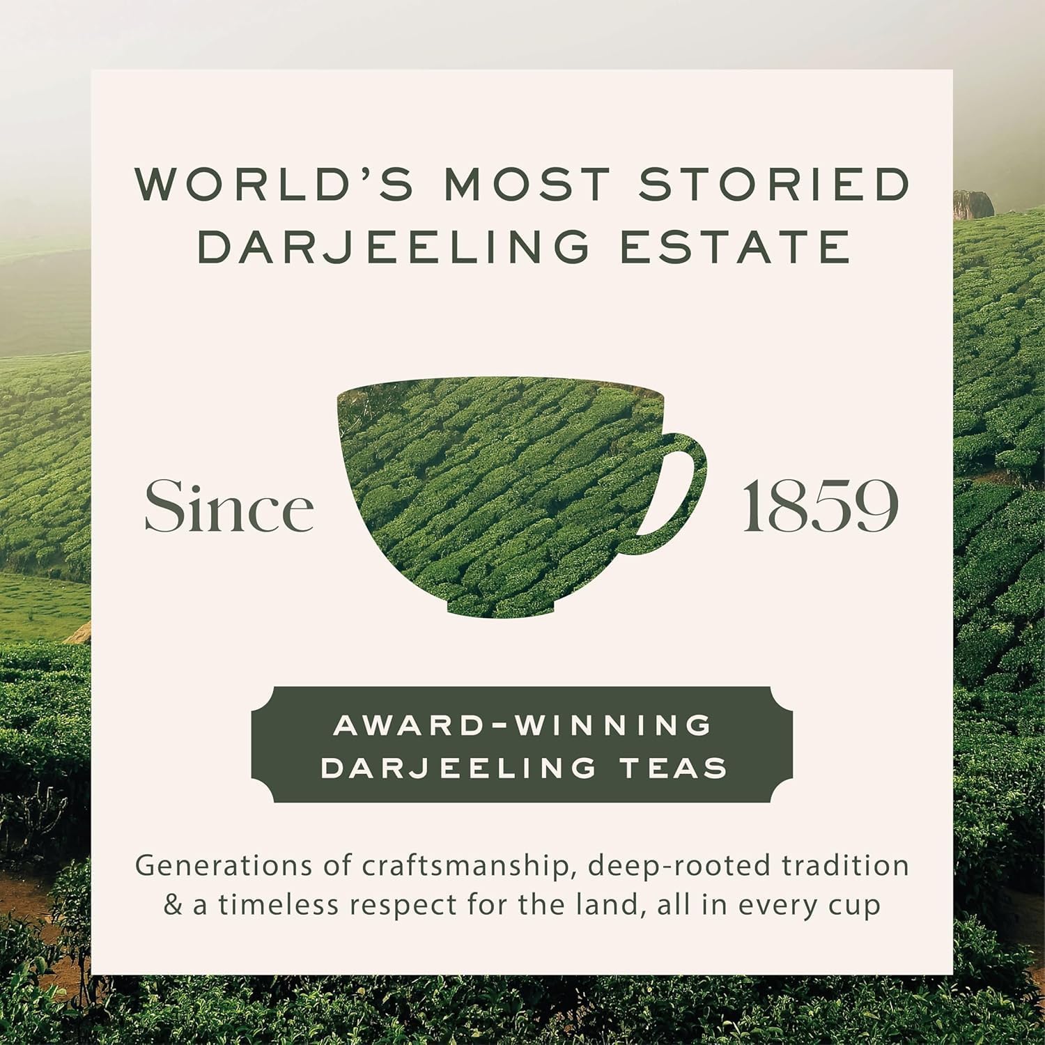 Makaibari Tea Treasures- Smoky Mountain, Organic Roasted Darjeeling Loose Leaf Black Tea Tin Caddy, 100 Grams