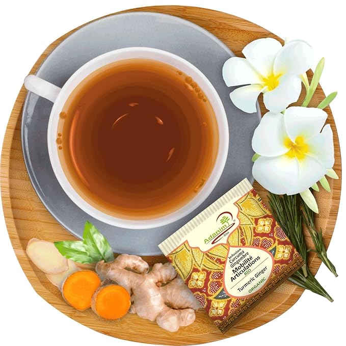 Adanim Bio Turmeric Ginger Herbal Tea 20 Individually Wrapped Tea Bags Organic Caffeine Free Herbal Infusion with Turmeric Ginger USDA Organic