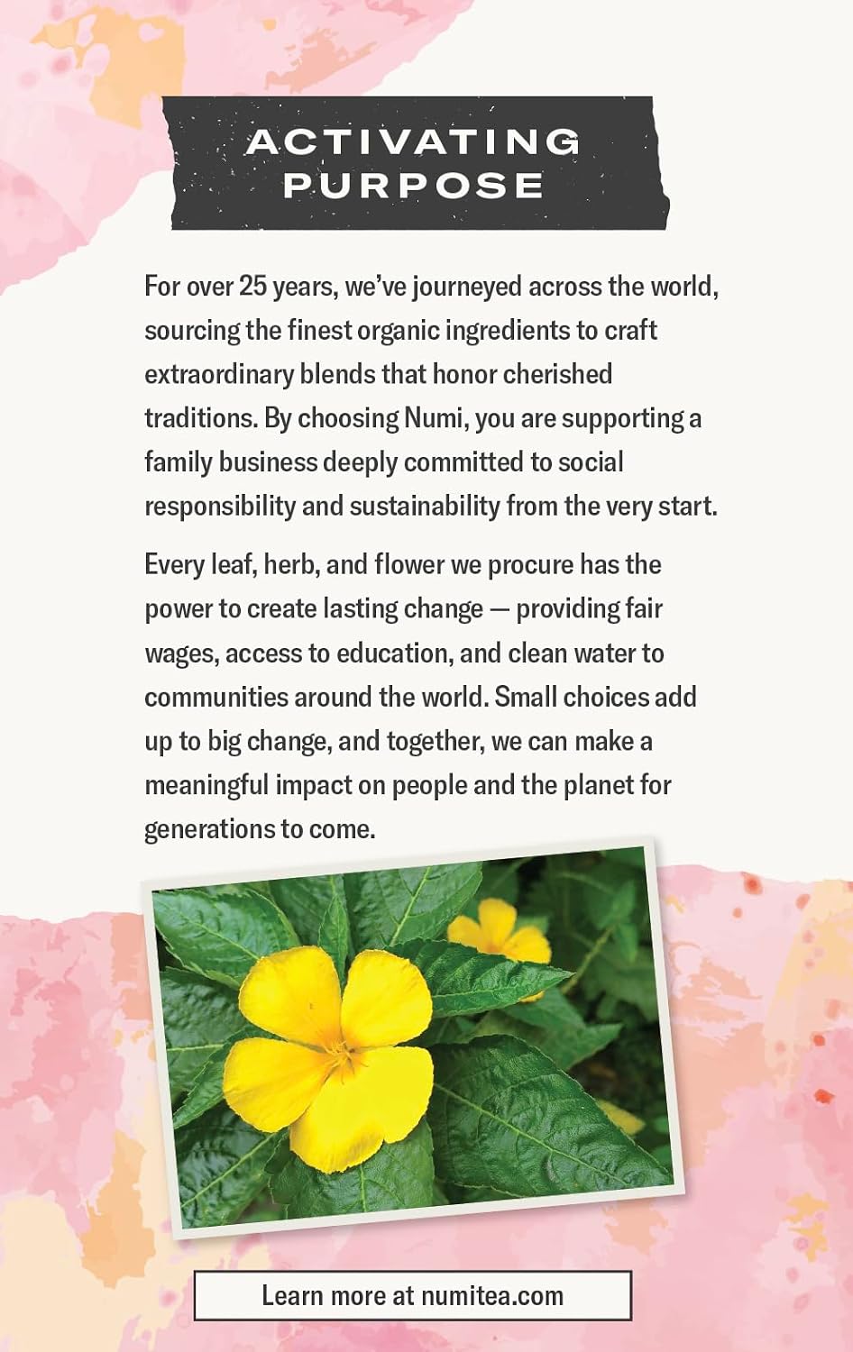Numi Organic Damiana Focus Tea