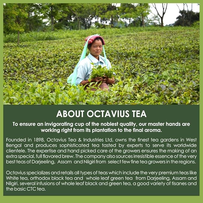 Octavius Indian Tea Collection in Handcrafted Pouches - 225 Gm | Assorted 3 Black Loose Leaf Teas | Indian Masala, Darjeeling, Assam | Premium Gift Box | 3 X 75 Each (2.64oz)
