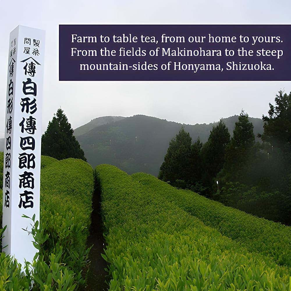 [Den's Tea] Pyramid Teabags, Authentic Japanese Green Tea from Shizuoka, Japan (Pack of 12) (Gyokuro)
