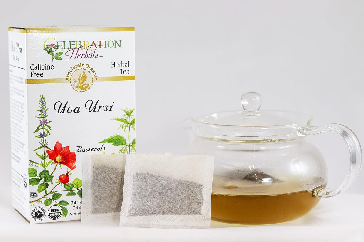 CELEBRATION HERBALS Uva Ursi Tea, 24 Bag, 0.02 Pound