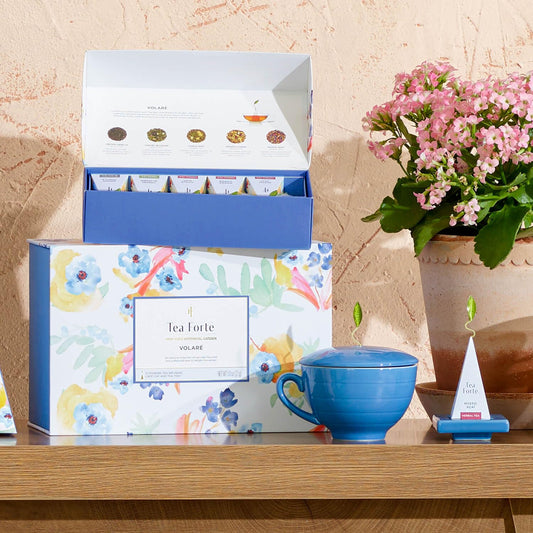 Tea Forte Café Cup Tea Gift Set, Volare, 10 Pyramid Infusers | 8 oz Porcelain Tea Cup, Lid &amp; Tea Tray - 2 of Each Blend - Individually Wrapped - Giftable Presentation Box