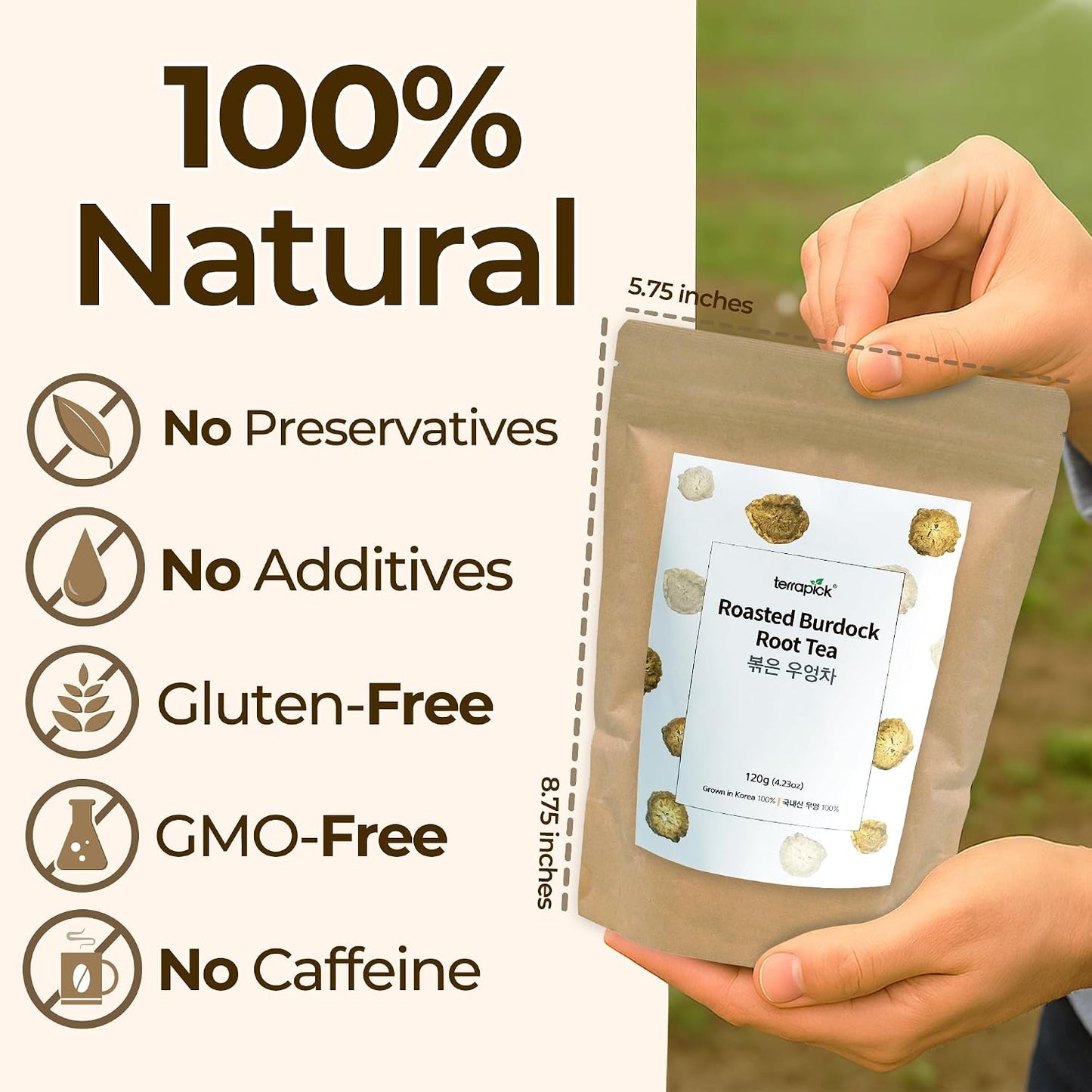 TERRAPICK Roasted Korean Burdock Root Tea 120g, Caffeine-Free Herbal Tea | Roasted Korean burdock root · Caffeine-free · Antioxidants &amp; minerals · Supports digestion &amp; gut · burdock tea