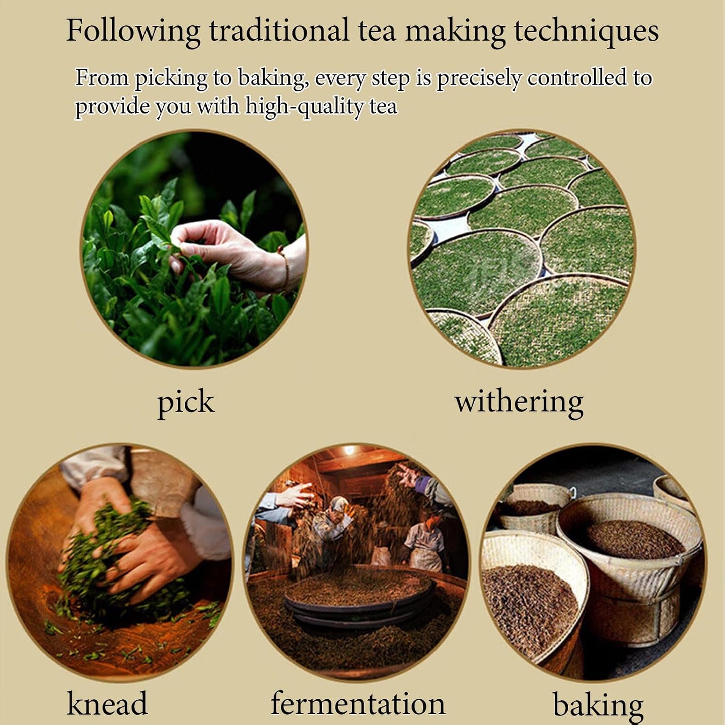 Lingyunxi Lapsang Souchong Tea Black Tea Loose Leaf Wuyi Mountain Chinese Tea|Non-Smoky Honey Floral Sweet Mellow Taste|No Bitter| Picked in Spring| Fully Fermented Tea 4.23oz/120g 正山小种 红茶 蜜香 非烟熏