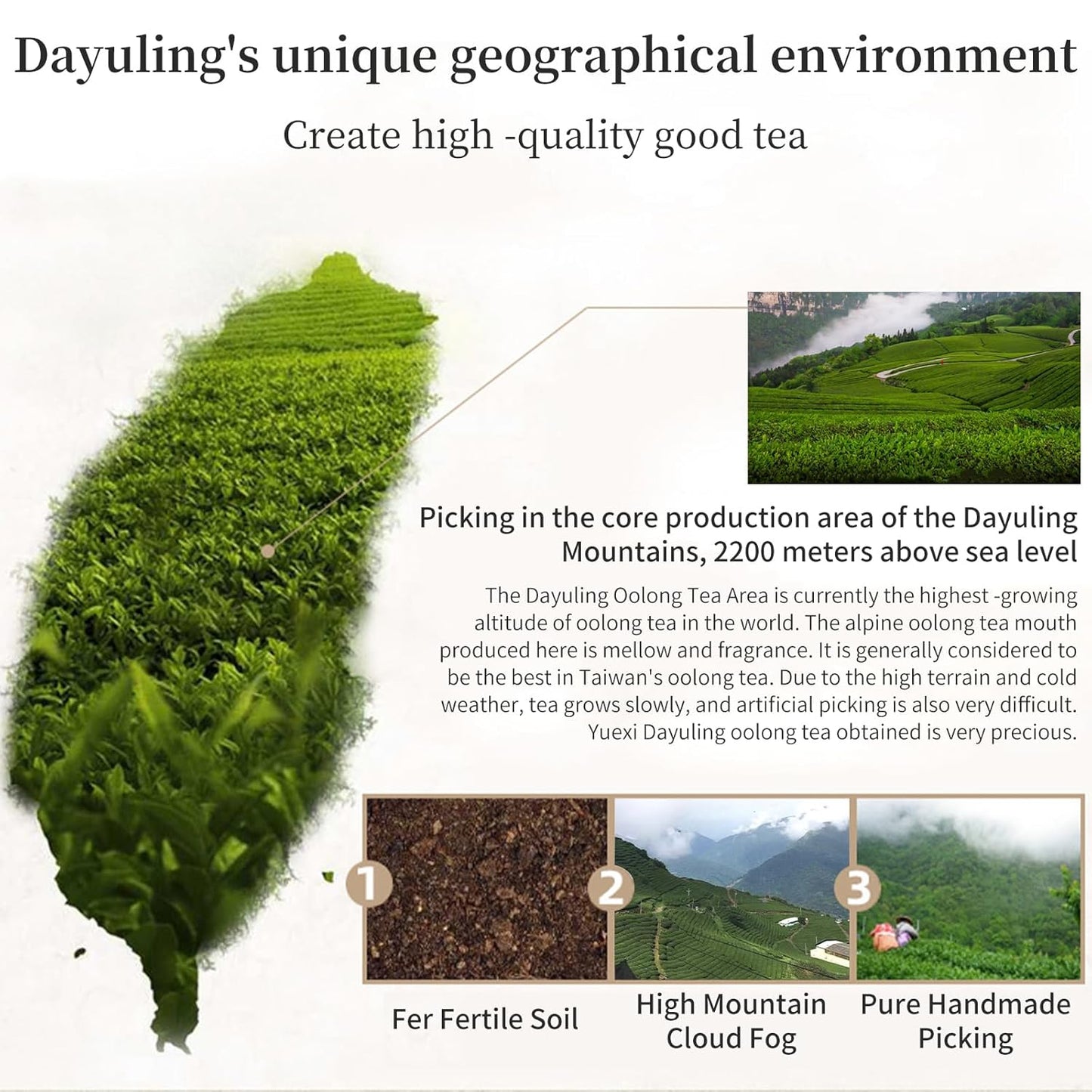 Yuexi Dayuling Oolong Tea Loose Leaf Dayuling Tea Taiwan Tea High Mountain Oolong Tea Da Yu Ling Taiwan Gaoshan Ulong 台湾高山茶 大禹岭 台湾茶 乌龙茶 150g/5.29oz