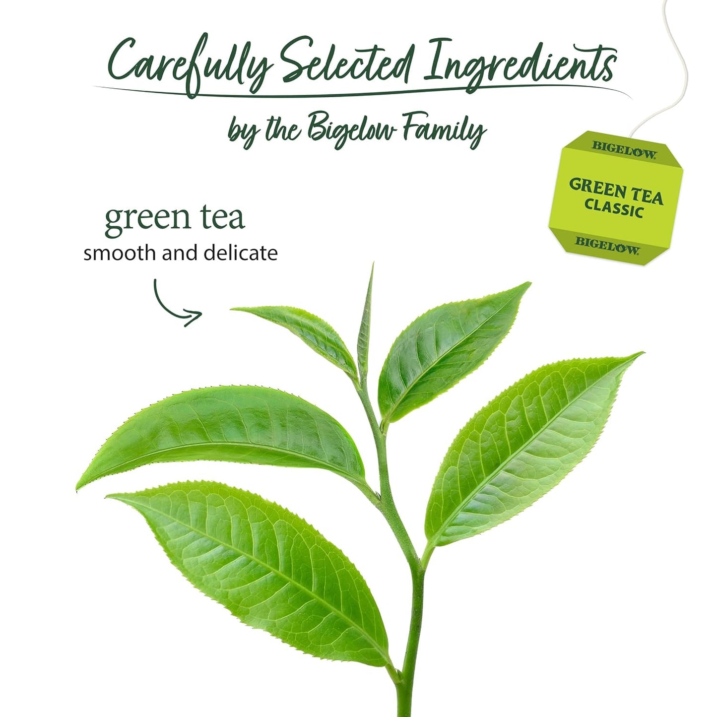 Bigelow Tea Classic Green Tea Bags, 40 Count (Pack of 6)