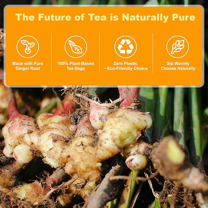 Ginger Tea Bags 60 Count - 100% Pure Extra Hot & Spicy Ginger Root | Strong Intense Flavor, Digestion Support, Caffeine Free Herbal Tea | Natural Loose Leaf