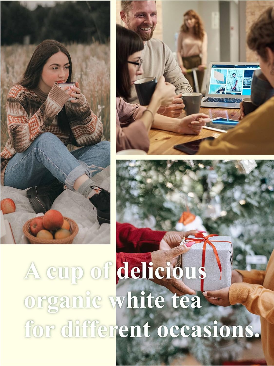 Organic White Tea Loose Leaf, 7oz Premium Whole Leaf White Tea, Light Floral & Clean Aroma, Smooth Refreshing Finish, Hot or Cold Brew, Low Caffeine