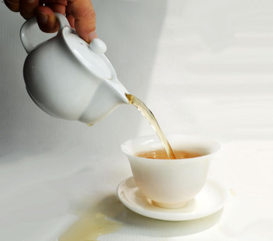 Porcelain Teapot ，9oz Small Ceramic Tea Pot with Infuser White Kettle | 270ml Individual Chinese Tea Pots Removable Stainless Steel Filter Little Teapots