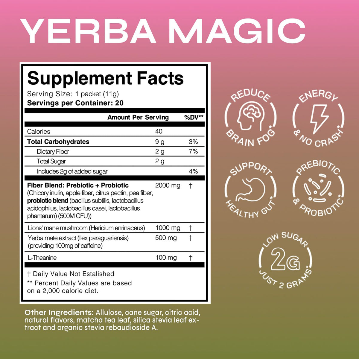 Brainista Yerba Mate Tea Sticks, Instant Tea Packets, Lion's Mane, Strawberry, 20ct