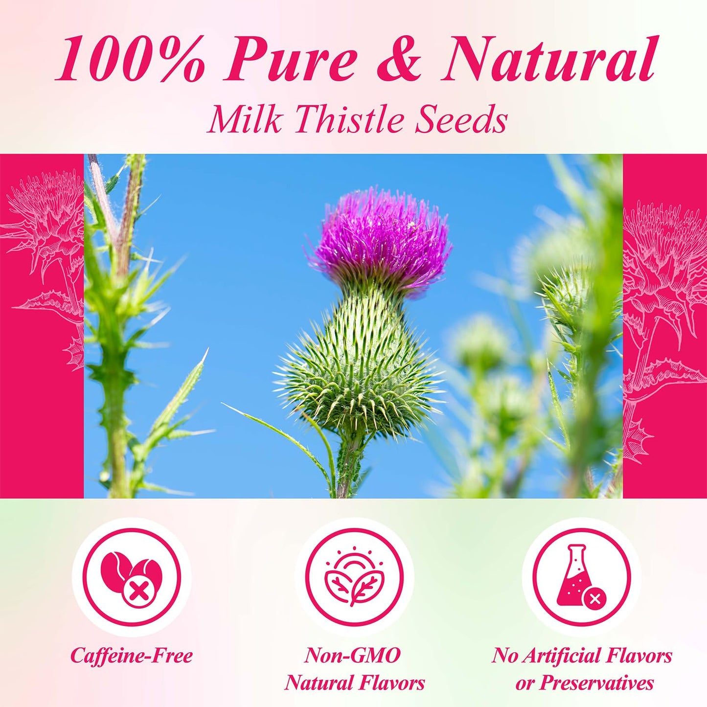 WT WEETEE Milk Thistle Tea Bags 100 Count, Made with 100% Pure Milk Thistle Seeds, Natural Caffeine-free Herbal Tea Detox Tea, Roasted Grain Flavor with Mild Sweetness
