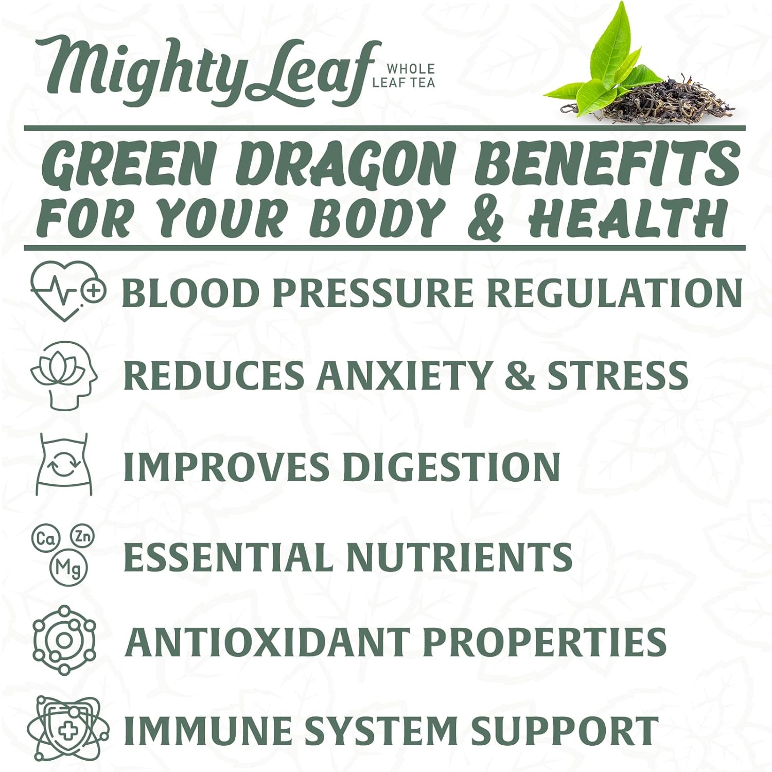 Mighty Leaf Organic Green Dragon Tea – 45 Count (15 Pouches per Box, Pack of 3) – Premium Whole Leaf Green Tea with Smooth, Fresh Flavor – Antioxidant-Rich Hot or Iced Brewing