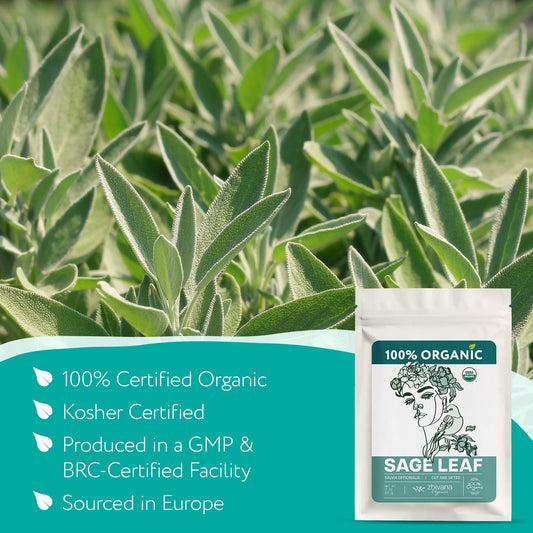 Sage Tea Organic 3 oz. - Sage Leaves – Salvia Tea for Focus and Clarity