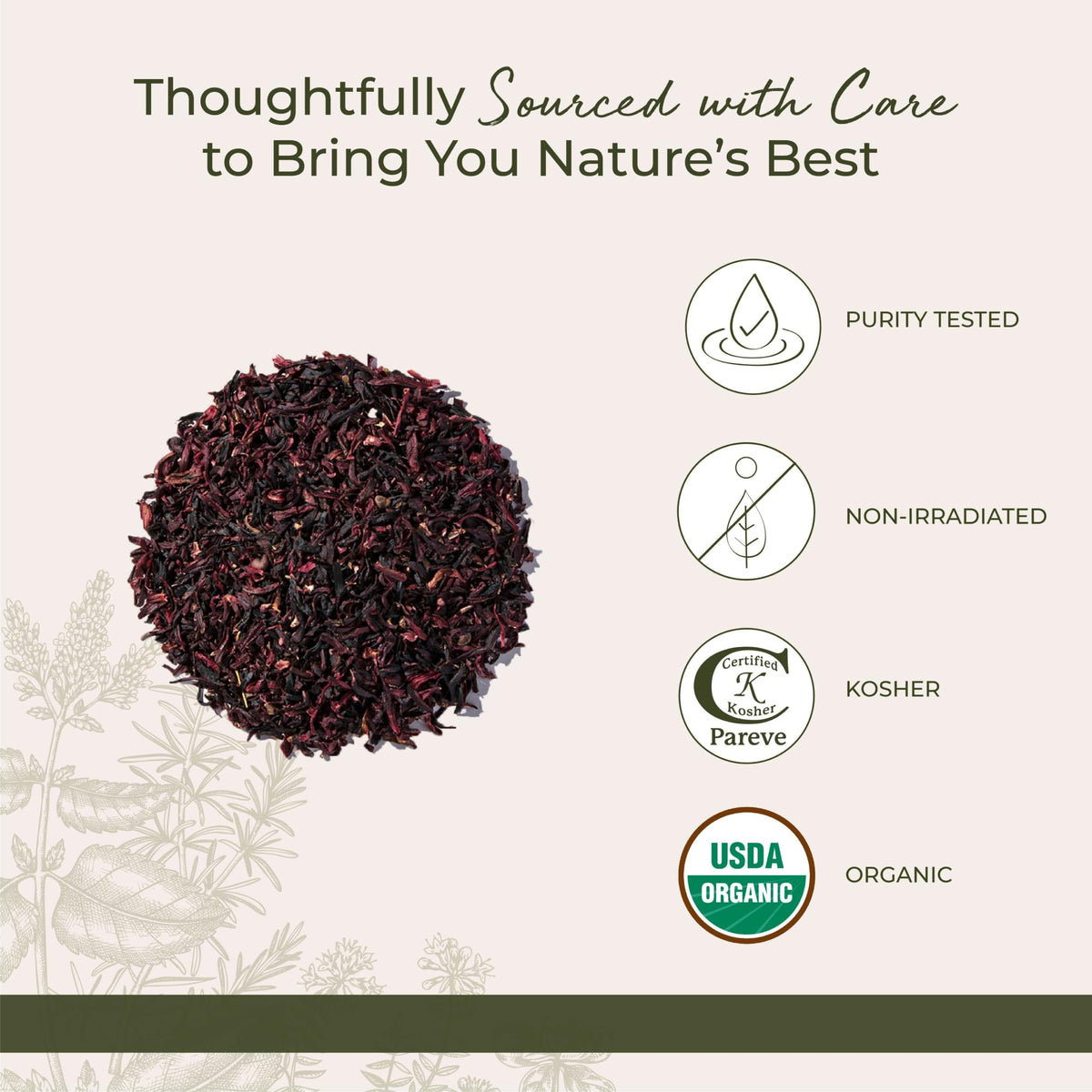 Starwest Botanicals Organic Hibiscus Flowers - Bulk 1 lb Bag (Pack of 2)