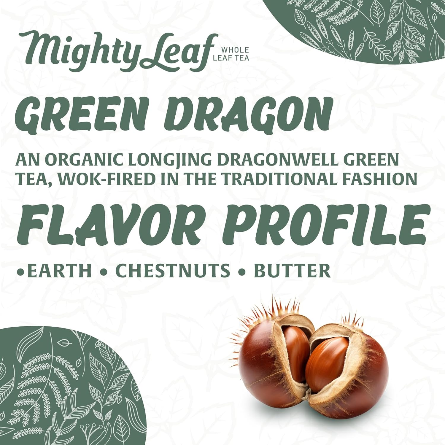 Mighty Leaf Organic Green Dragon Tea – 45 Count (15 Pouches per Box, Pack of 3) – Premium Whole Leaf Green Tea with Smooth, Fresh Flavor – Antioxidant-Rich Hot or Iced Brewing