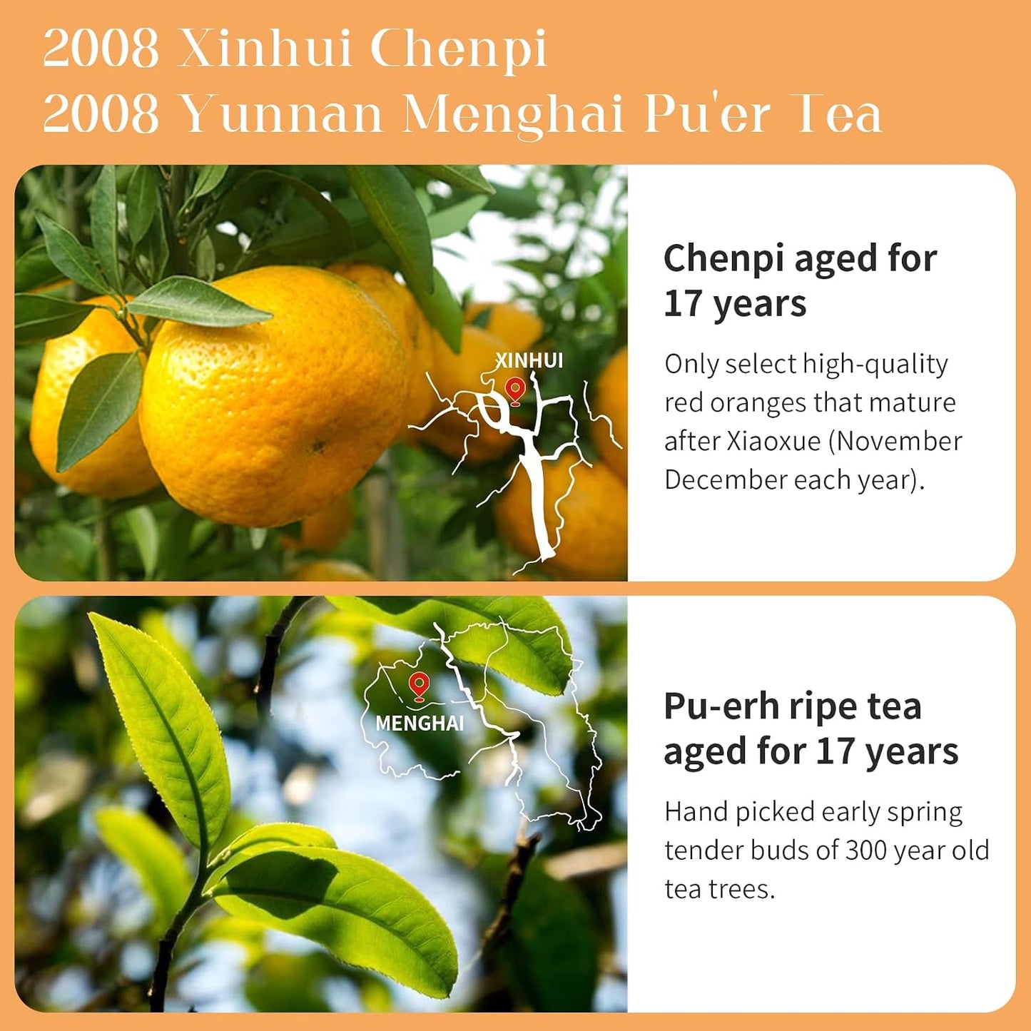 XIXICHA Tangerine Peel Puerh Tea Big Orange Peel Puer Tea Da Hong Gan Mandarin Orange Peel Puerh Xinhui ChenPi Pu'er Citrus Yunnan Puerh 大红柑 陈皮普洱茶 新会陈皮 云南普洱茶 熟茶 8.8oz/250g （One about 30-35g）