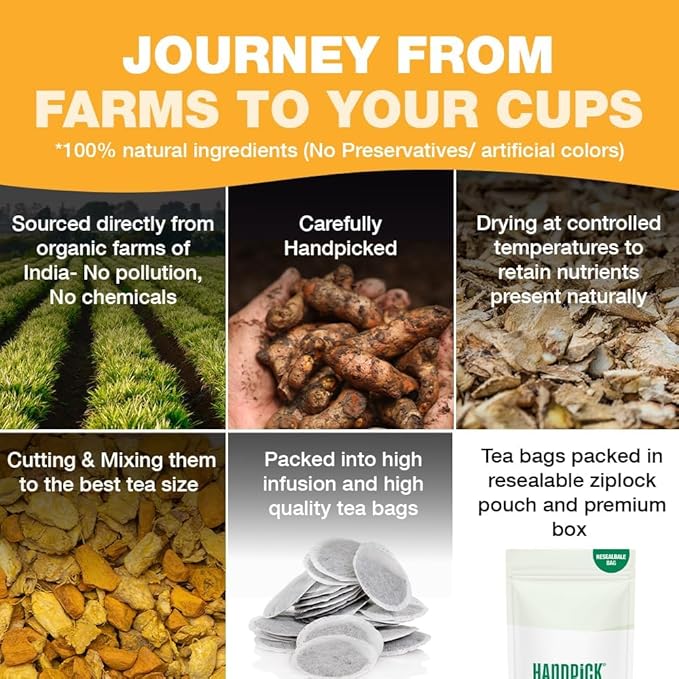 Handpick, Ginger Tea Bags (100 Herbal Tea Bags), Authentic Indian Origin, Caffeine Free & 100% Pure Ginger Root, Round Eco Conscious Teabags