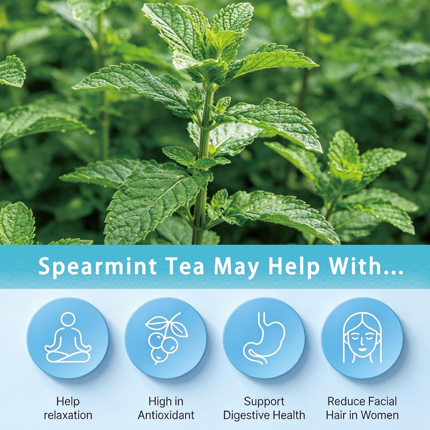 Samcci Spearmint Tea Bags, 40 Counts, Pure Dried Spearmint Leaf | Supports Digestion, Fresh Breath, Women's Wellness &amp; Balance, 100% Natural Dried Leaves, Non-GMO, Caffeine-Free
